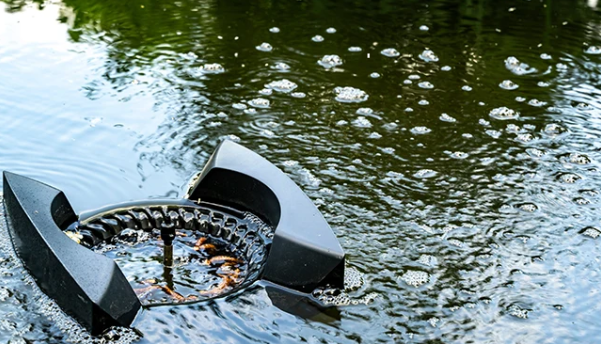 The Pond Skimmer